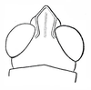 Basutacris scotti Dirsh, 1953: Fig. 28. male head, dorsal view. (Otu).