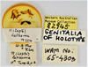CollectionObject 1552915; 709a1e02-1af6-4902-a5e9-5100a956d5ba: (CollectionObject).