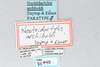 CollectionObject 2765711; CNCI 311940, 17eb1652-62f5-4fa6-b13a-926468850edb: (CollectionObject).