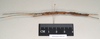 CollectionObject 1559916; 630d30de-80ea-4ee9-ad4d-d0e411c40016: copyright Natural History Museum, London. female, lateral view (paratype). (CollectionObject).;CollectionObject 1559917; 8acea706-d42c-46d4-9bde-b95b67061095: copyright Natural History Museum, London. female, lateral view (paratype). (CollectionObject).