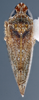 Habitus, dorsal view: !! display not done !! on Scaphytopius n. sp. PE3: Scaphytopius Ball, 1931: (Observation).