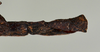 CollectionObject 1561461; 1d77f75d-7c03-42e0-8087-c393aa10e6dc: copyright USNM, Washington. (CollectionObject).