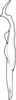 Stylus on Anufrievia quadrata Cao & Zhang, 2018: Stylus (paratype). (Observation).
