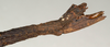 CollectionObject 1558403; NMW 924'', fb12eb21-c55f-4a5c-adb7-578624ea133e: copyright NMW, Vienna. female: end of abdomen, lateral view (paralectotype). (CollectionObject).