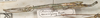 CollectionObject 1562518; 84f24dc3-29de-467f-bec5-6b4be3df4840: copyright St. Petersburg. male, lateral view (probable paralectotype). (CollectionObject).