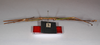 CollectionObject 1557137; b9e8cfd5-2703-4de1-a0f4-5eed5fa3f775: copyright ZMB, Berlin. male, dorsal view (syntype). (CollectionObject).;CollectionObject 1557138; 5fc68556-22dd-4594-bd84-d4e4150cbe92: copyright ZMB, Berlin. male, dorsal view (syntype). (CollectionObject).