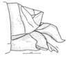 Conometopus sulcaticollis (Blanchard, 1851): FIg. 12. female abdomen tip, lateral view. (Otu).