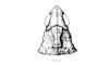 Peplacris recutita Rehn, 1942: Fig. 116. female, head and pronotum, dorsal view. (Otu).