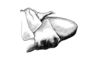 Eurotettix monnei Pujol-Luz, Alves Dos Santos & Guerra, 2001: Fig. 7L. male abdomen tip, lateral view. (Otu).
