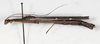 CollectionObject 1561325; NMW 212, 61f808f3-c8d6-49c6-ae8b-b0529a91759e: copyright NMW, Vienna. female, lateral view (holotype). (CollectionObject).