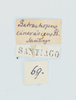 CollectionObject 1513234; 9b6692f9-dae7-46ff-99e4-f1e2480437aa: male, labels. (CollectionObject).