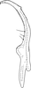 Stylus: Stylus. (Observation).