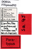 CollectionObject 1592430; edc6865b-c122-4d6b-87be-c3cdf4232daa: labels (paratype). (CollectionObject).