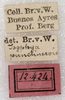 labels. Depicts CollectionObject 1532989; 1174175c-7a90-4767-8c51-098895b64ad4, a CollectionObject.