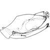 Pygofer, lateral view on Borulla gracilis Dworakowska, Sohi & Viraktamath, 1980: Pygofer, lateral view. (Observation).