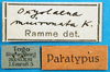 labels. Depicts CollectionObject 1502309; 778ee913-e38f-4c98-ae8f-51e587a41de2, a CollectionObject.