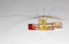 CollectionObject 1594963; eee70f39-76b0-4fe4-9d0f-5092e4e78b5a: copyright ZMHB, Berlin. male, lateral view of synonym Sipyloidea felderi (plt). (CollectionObject).