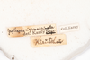 CollectionObject 1531222; 0334a481-5fd2-4ecc-a334-419ad39aeb08: male, labels (holotype). (CollectionObject).