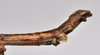 CollectionObject 1558581; 5094e634-967d-4141-83cf-733a7e174ce9: copyright NTUC. male: end of abdomen, lateral view (syntype). (CollectionObject).;CollectionObject 1558582; 20db8149-d18d-4462-8167-11f604b61075: copyright NTUC. male: end of abdomen, lateral view (syntype). (CollectionObject).