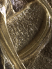 CollectionObject 1529743; NHRS NRM-ORTH0009197, 49682db8-3297-4dbf-8e63-9bbe870ab061: male, stridulatory file, ventral view of left tegmen (holotype). (CollectionObject).