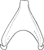 Connective on Asialebra aureovirescens (Dworakowska, 1968): Connective. (Observation).