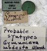 CollectionObject 1541618; e7d88a1d-ac34-42a6-9e62-935742a9262b: labels (syntype). (CollectionObject).