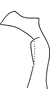Stylus: !! display not done !! on Eratoneura robusta (Knull, 1955): Stylus (paratype). (Observation).