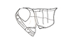 Dichroplus fuscus (Thunberg, 1815): Fig. 2. head and pronotum, lateral view. (Otu).