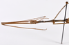 CollectionObject 1559867; 323192c9-1ac1-4610-96c0-b6da2e49e699: copyright ZMHB, Berlin. male: head & thorax, lateral view (holotype). (CollectionObject).