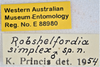 CollectionObject 1552940; 9f1470cd-4694-40b5-86fc-8f76ee9f6174: 13mm. (CollectionObject).