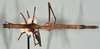 CollectionObject 1561881; 62168397-81e1-4c1e-bfb0-cdb19c7d1b70: copyright USNM, Washington. (CollectionObject).