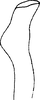 Stylus on Dapitana robusta Mahmood, 1967: Stylus. (Observation).