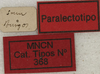 CollectionObject 1535985; 9266c33b-ea75-44e0-94fe-4b7d4f502b57: labels (paralectotype). (CollectionObject).