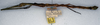 CollectionObject 1562373; NMW 16, 4abc7fb9-b4d2-40ae-8a6e-3c13aec0037d: copyright NMW. female, lateral view (syntype). (CollectionObject).
