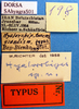 CollectionObject 1530679; 861aaf41-3d43-4143-9e30-c6b43843a2b6, DORSA SAhyagraS01: labels (holotype). (CollectionObject).