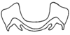 Aleuas albinae Carbonell, 2008: Fig. 27H. epiphallus, frontal view. (Otu).