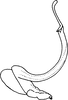 Aedeagus, lateral view on Empoascanara (Empoascanara) vinia Dworakowska, 1992: Aedeagus, lateral view. (Observation).