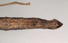 CollectionObject 1559486; NHMUK(SF IMPORT DUPLICATE) 844640, 6c7e4486-9f0b-409b-92cd-0e12394dfd54: copyright Natural History Museum, London. female: end of abdomen, dorsal view (holotype). (CollectionObject).