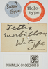 CollectionObject 1517879; 439778c6-42be-41bc-822e-bb57624783ce, NHMUK10924419: lables (holotype). (CollectionObject).