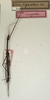 CollectionObject 1560457; 0ef1e3fc-0331-4f73-8d9e-cc8eb137cab9: copyright NMW, Vienna. male (holotype). (CollectionObject).