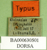 CollectionObject 1501437; 7943eb4b-acb2-4262-be36-896286e7d6e1, DORSA BA000630S01: labels (holotype). (CollectionObject).