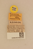 CollectionObject 2066764; 623d013f-1fb0-40bf-ade6-99a5c5fb5129, NHMUK015982400: labels (paratype). (CollectionObject).