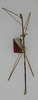 CollectionObject 1557943; 571c05d6-e54b-4bcb-84f7-aa305a522980: copyright ANSP. male (holotype). (CollectionObject).