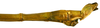 CollectionObject 1567607; c186bc43-a406-4dd2-bd95-e7cf8fc38a5b: copyright Brussels. male: end of abdomen, lateral view (paratype). (CollectionObject).;CollectionObject 1567608; 9f20d4e0-ad33-40ba-bea8-18b1a1f859c3: copyright Brussels. male: end of abdomen, lateral view (paratype). (CollectionObject).