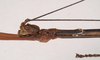 CollectionObject 1559451; NHMUK(SF IMPORT DUPLICATE) 844623-626, 3634f3ca-e221-45d4-984f-9b63a255aa78: copyright Natural History Museum, London. male: head, lateral view (syntype). (CollectionObject).