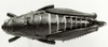 CollectionObject 1526365; 6b0f21b0-f871-4610-ad28-3e7bef6c6bb8: female, dorsal view (allotype). (CollectionObject).