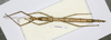 CollectionObject 1557860; a178da17-f9d0-493e-bf87-45c3bd0ed9de: copyright MHNG Geneva. female, dorsal view (syntype). (CollectionObject).