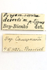 CollectionObject 1593077; 5d381ee4-ad6c-4f35-9add-0b47b54d11f9: male, labels (paratype). (CollectionObject).