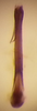Aedeagus, posterior view on Costanana dunda DeLong & Freytag, 1972: Male holotype [OSU]: aedeagus, posterior view. (Observation).