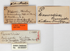 CollectionObject 1848728; c5e2f241-8f4a-4b5b-bd09-511439daf0a2: (CollectionObject).